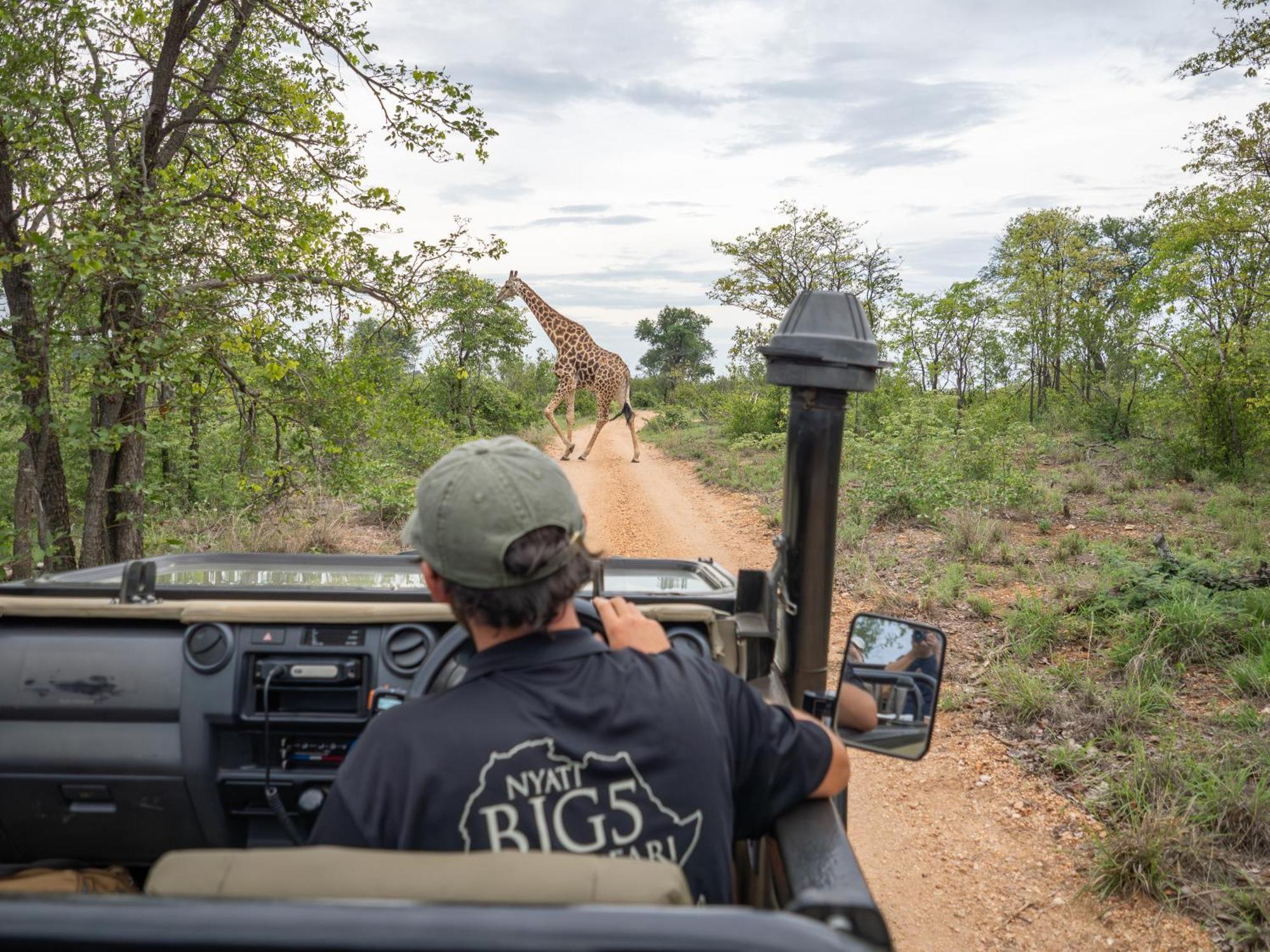 Nyati Safari Lodge โฮดสปรูท ภายนอก รูปภาพ