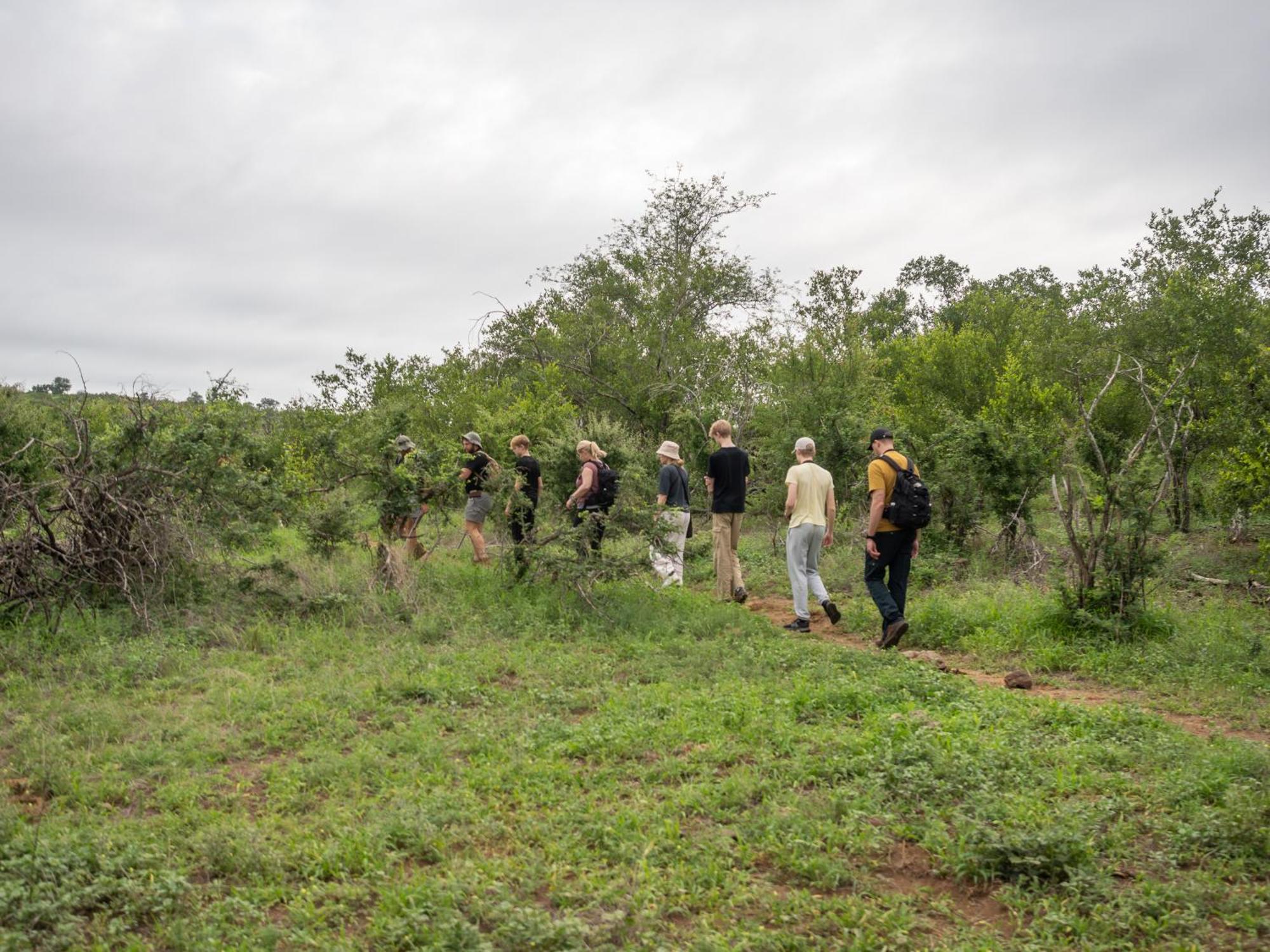 Nyati Safari Lodge โฮดสปรูท ภายนอก รูปภาพ